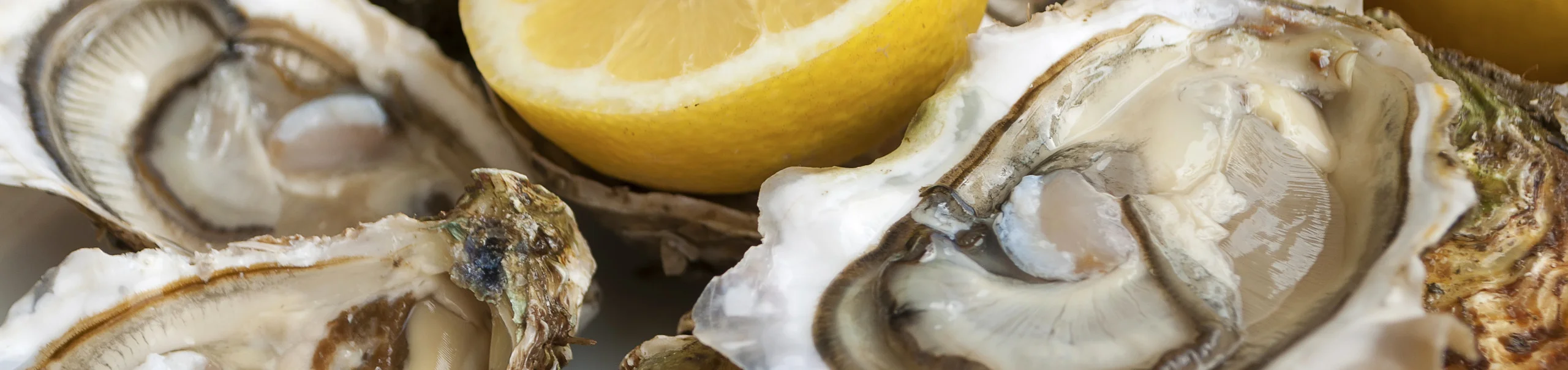 Apalachicola Bay Oysters Eastpoint Florida